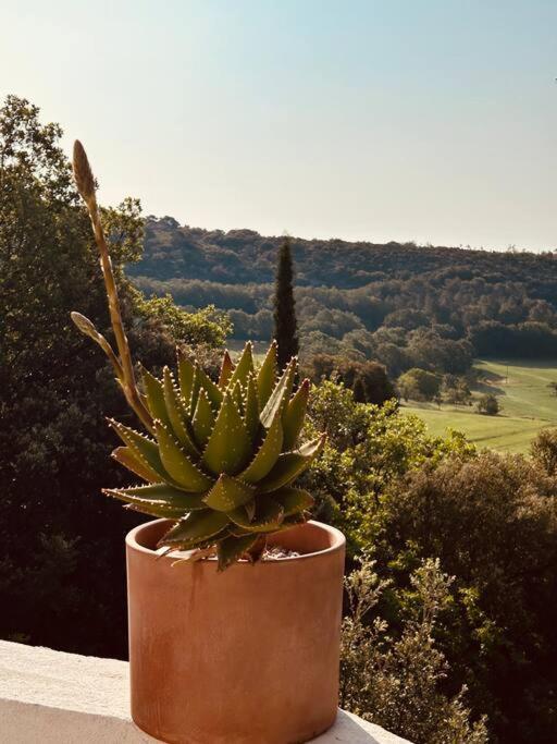 Belle Maison Contemporaine Ampus Esterno foto